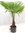 Winterharte Palme -Trachycarpus fortunei- 110/130 cm - dicker Stamm 30 cm/Chinesische Hanfpalme - 17