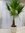 Washingtonia robusta 200 cm/Stamm 40/50 cm - Petticoat Palme
