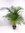 XXL Goldfruchtpalme -"Areca Palme" 180/200 cm / riesige Palme / Zimmerpalme, Zimmerpflanze