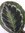 XXL Calathea medallion 70/80 cm - Topf 21 cm Ø - Korbmarante - außergewöhnliche Zimmerpflanze
