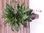 Caryota mitis 120 cm - Fischschwanzpalme - // Zimmerpflanze Zimmerpalme /