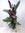Ctenanthe oppenheimiana 150 cm - außergewöhnliche Zimmerpflanze // ähnl. Calathea